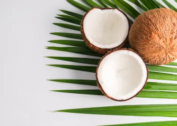 Coconut milk vs coconut cream for curry