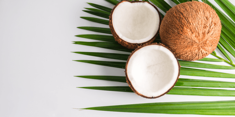 Coconut milk vs coconut cream for curry