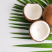 Coconut milk vs coconut cream for curry