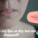 Why are my lips so dry but not chapped?