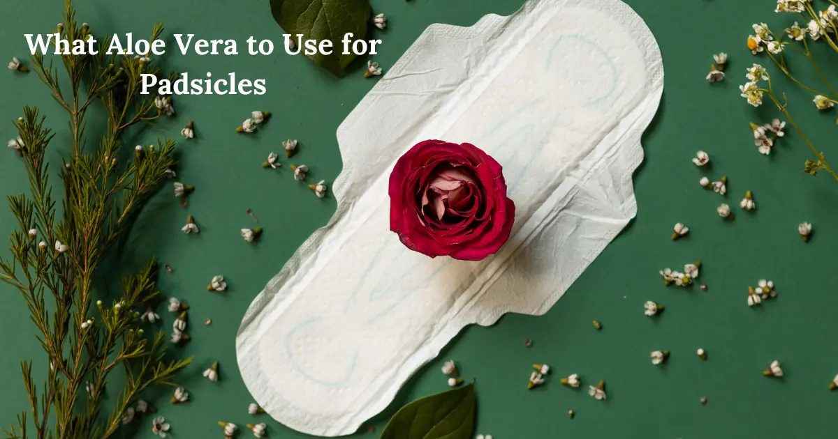 A sanitary pad with a red rose on top, surrounded by greenery.